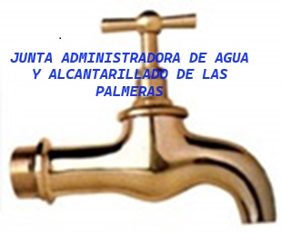 JUNTA PALMERAS.jpeg
